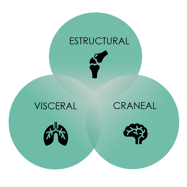 Diagrama Osteopatia